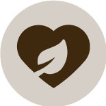 Icones-pàgina-principal-