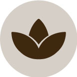 Icones-pàgina-principal