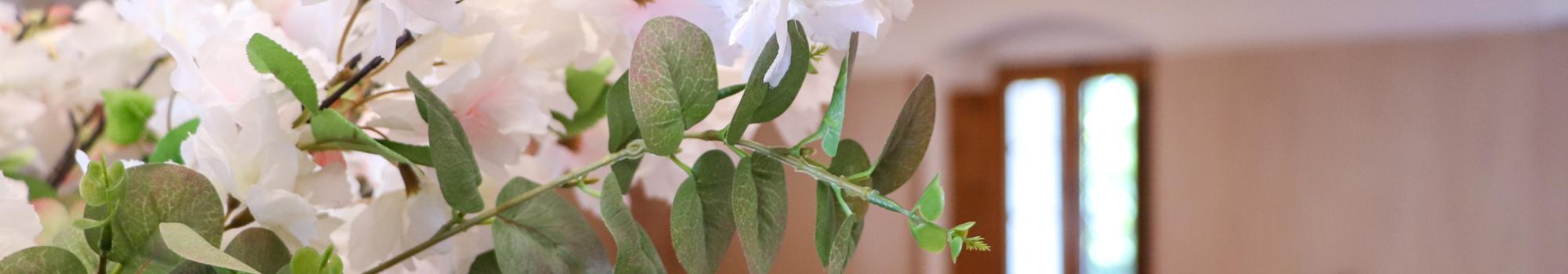 Restaurant - Can Santa Digna