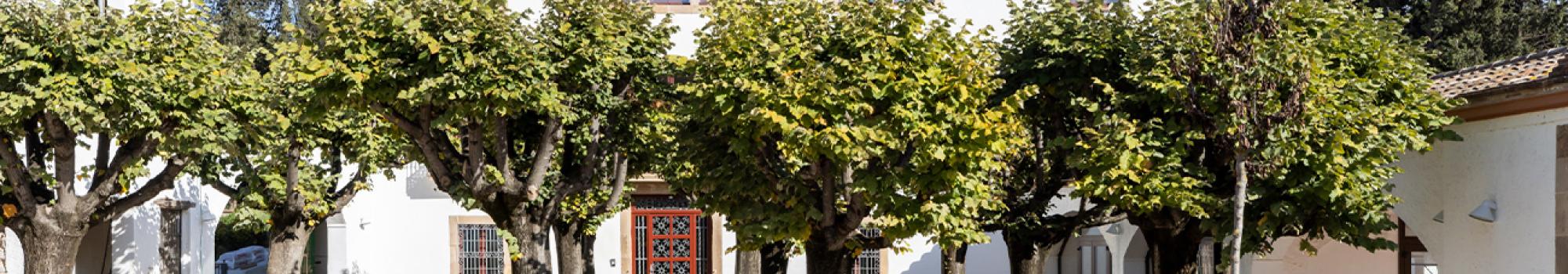 Residència Can Santa Digna_Sinergia