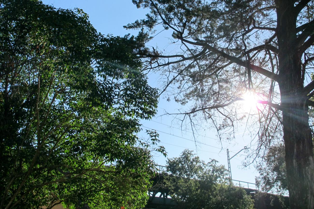 Espais sènior_Natura_Can Santa Digna