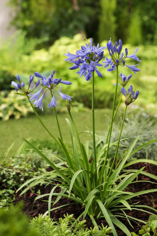 Fundació Mercè Fontanilles_Can Santa Digna