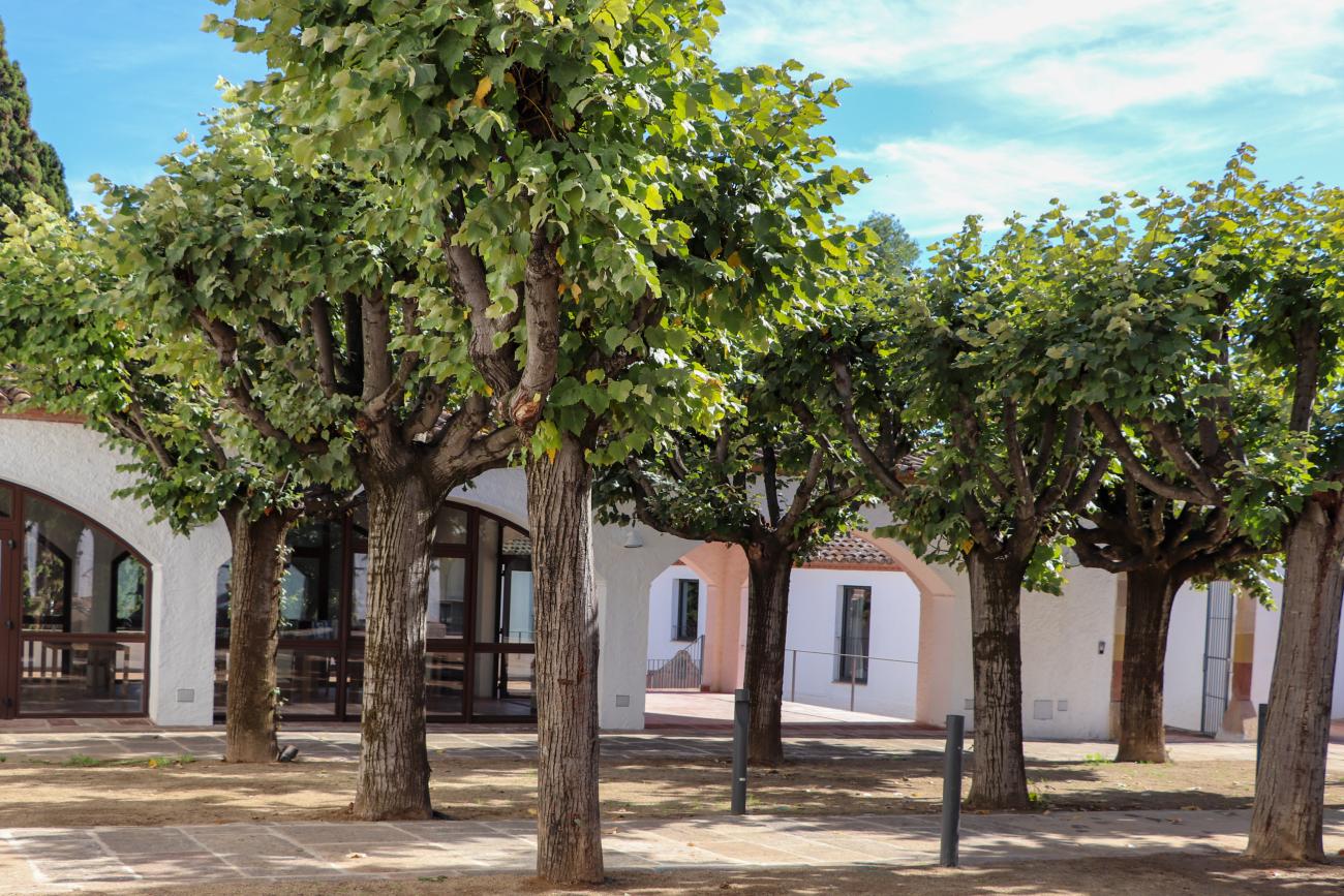 Masia a la natura_Can Santa Digna